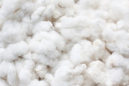 Supima Cotton Fabric