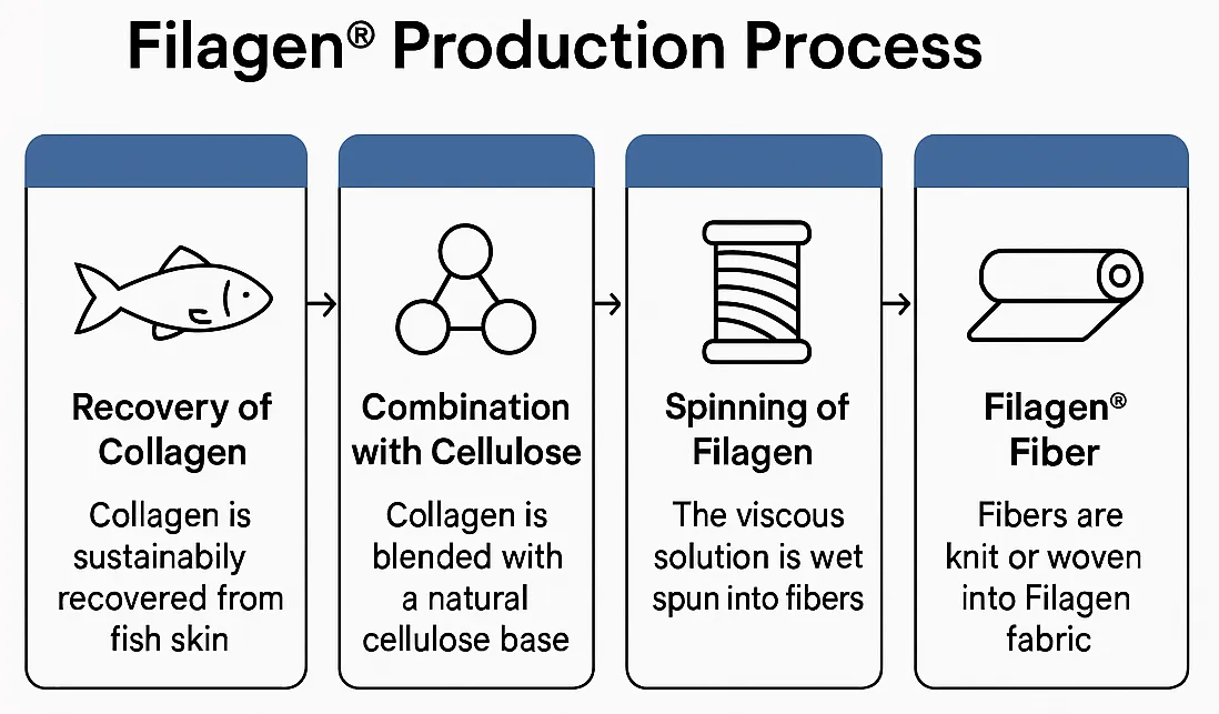 Filagen Fabric Production Process, from collagen recovery to collagen fiber spinning and fabric creation