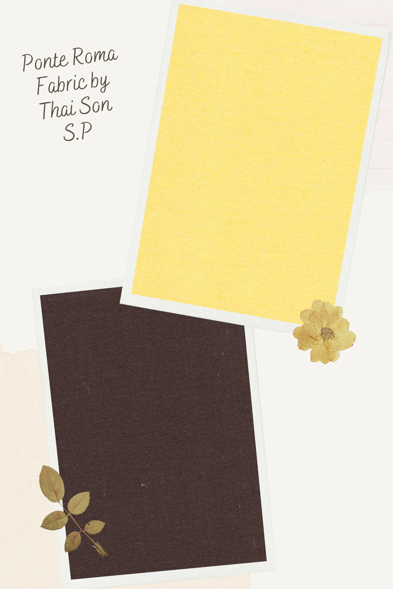 Ponte Roma knit fabric with smooth and stable surface texture.